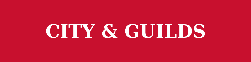 City & Guilds qualified engineers